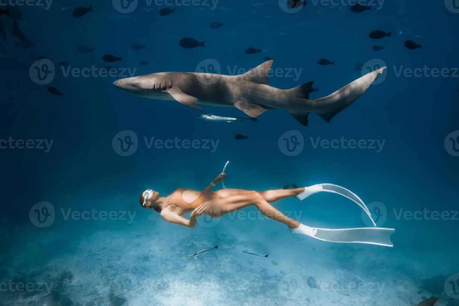 Woman in mask and fins swimming with nurse sharks in a tropical blue ocean in the Maldives. photo