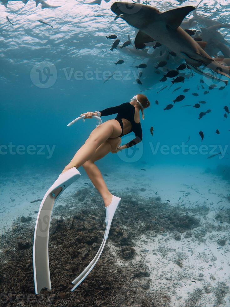 Woman freediver in tropical sea swim with nurse sharks in Bahamas photo