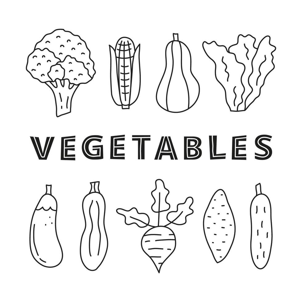 Poster with doodle outline food vegetable icons. vector