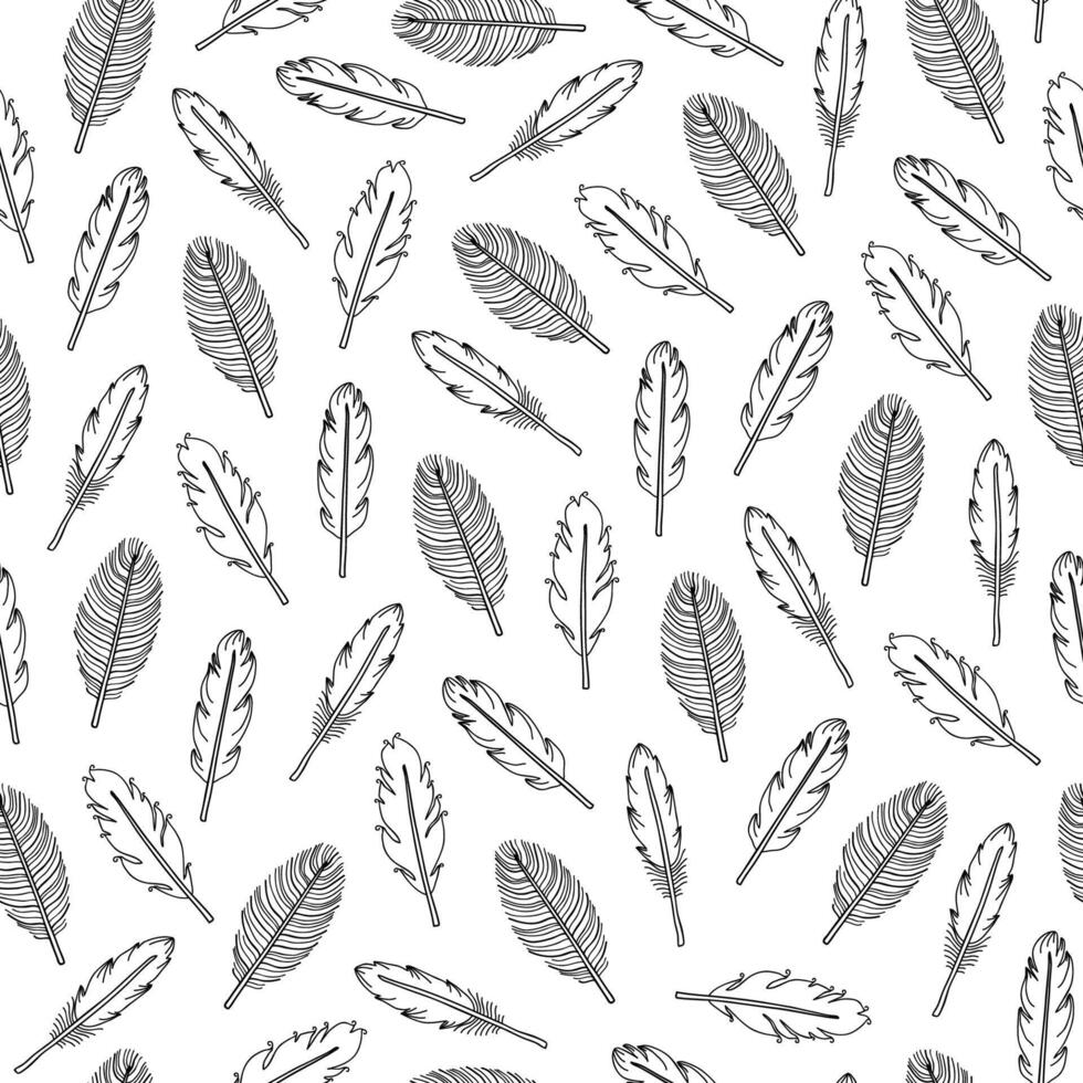 Seamless pattern with boho feathers. vector