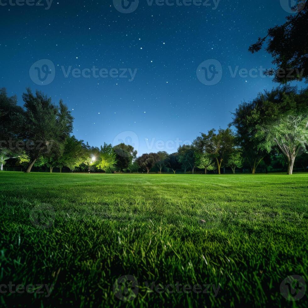 Grassy Field With Trees Under Night Sky photo