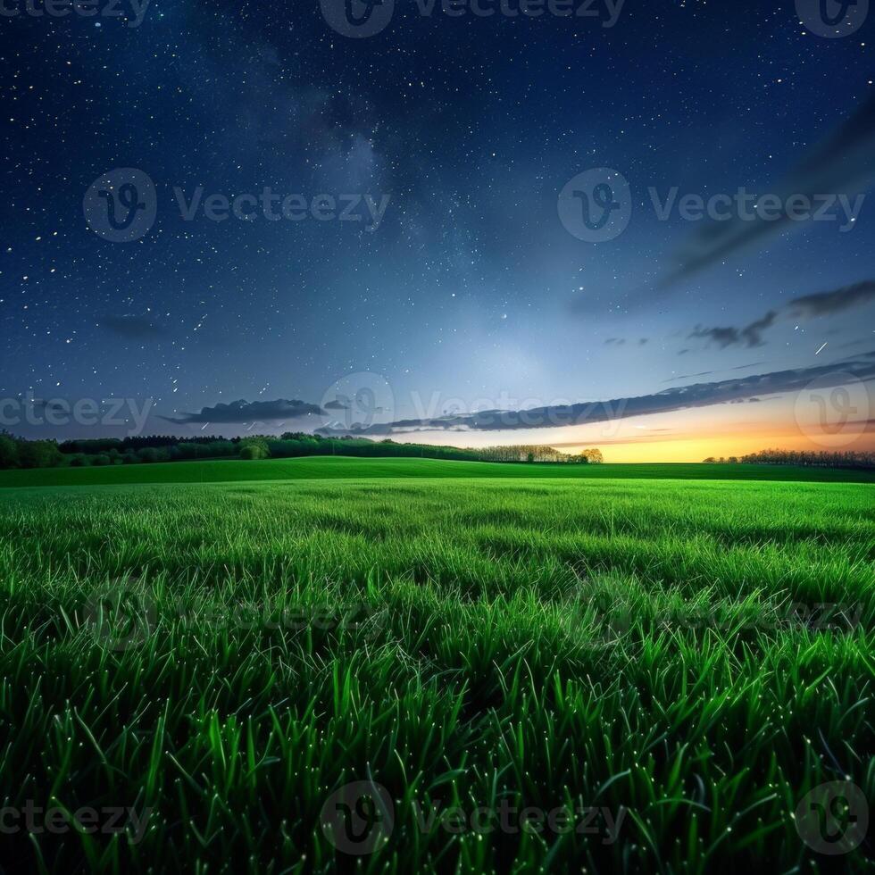 Green Field With Stars in the Night Sky photo