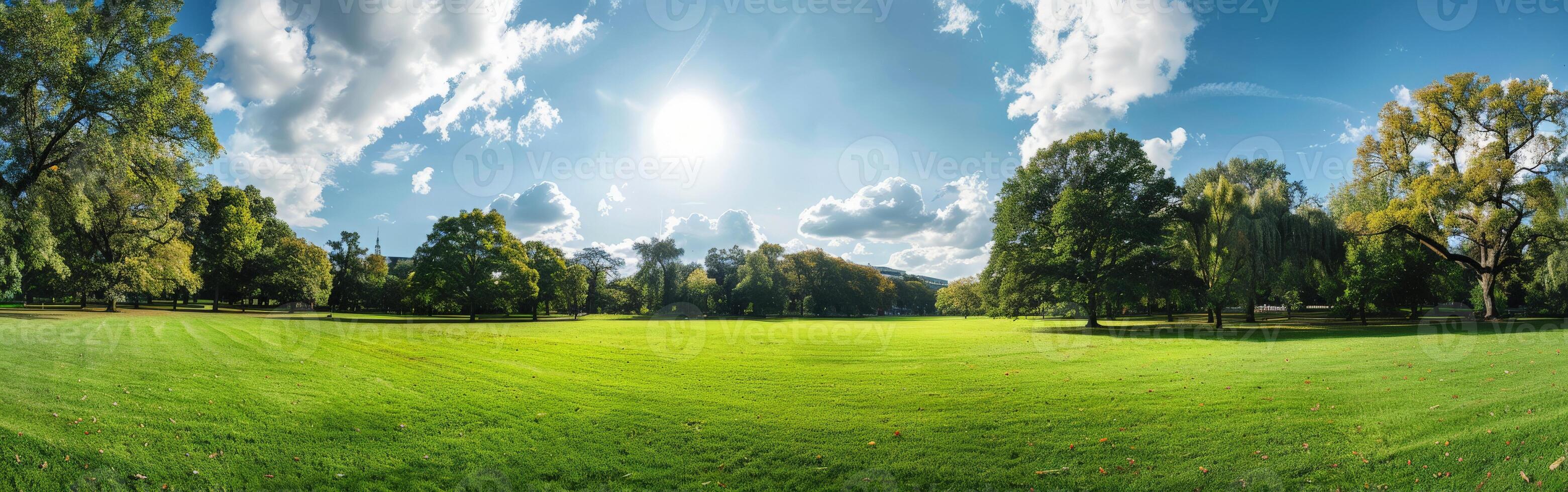 Green Field With Trees and Clouds photo