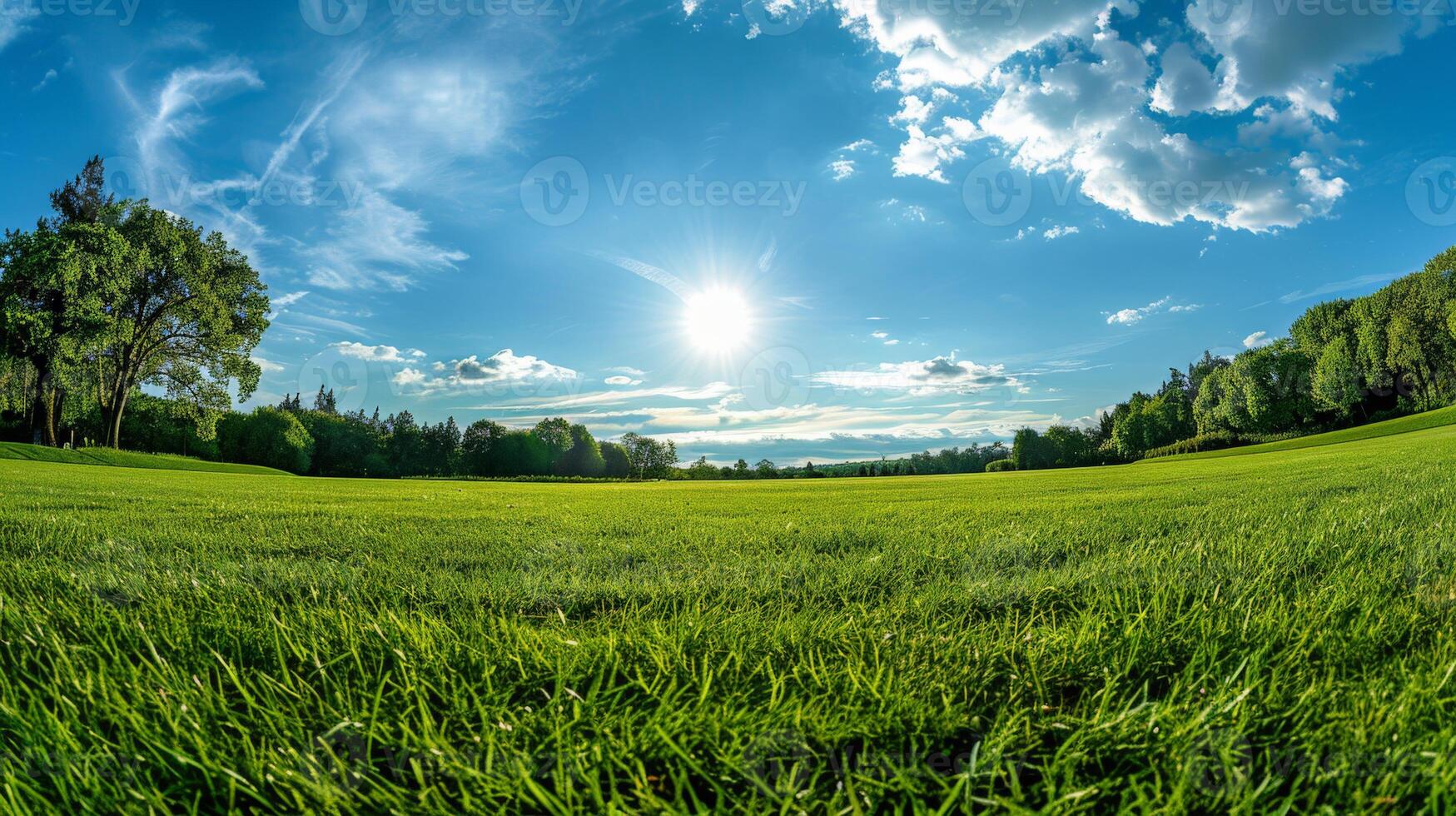 Sun Shining Over Green Field photo