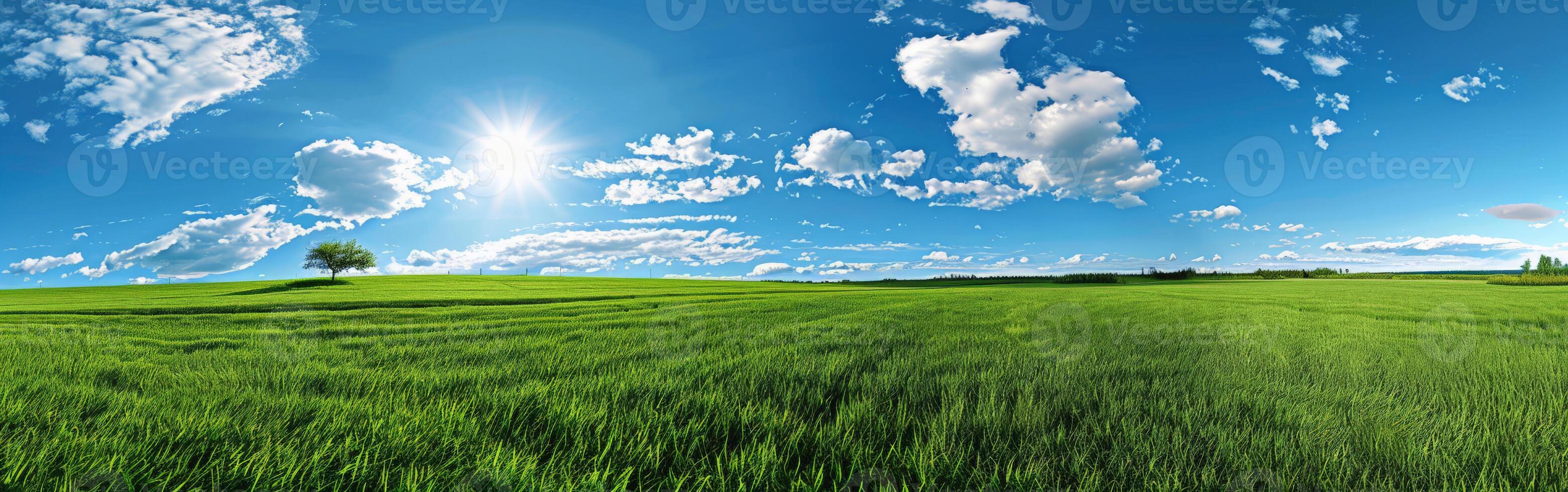 Tree Standing in Green Field photo