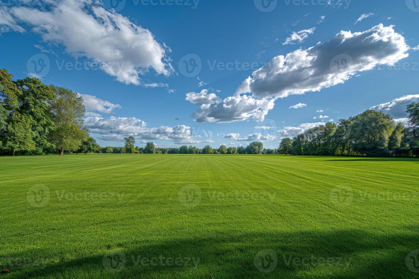Green Field With Trees and Clouds photo