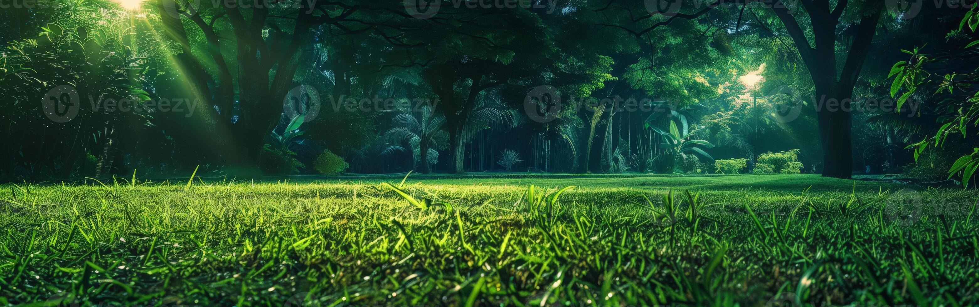 Verdant Field With Background Trees photo