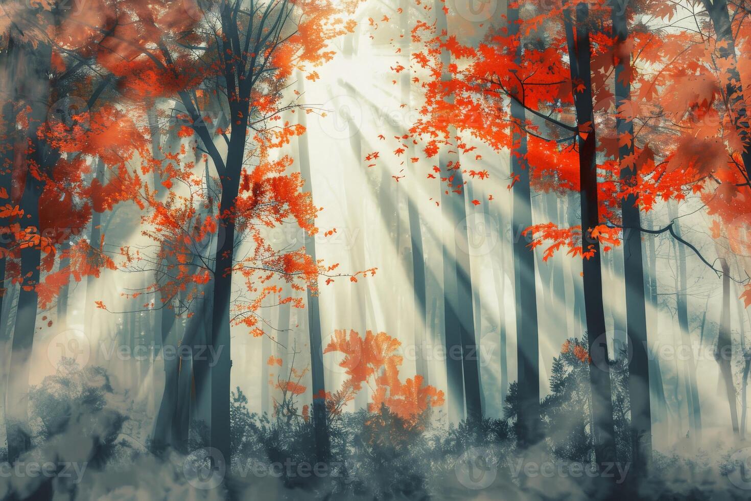 Dense Forest With Abundant Trees photo
