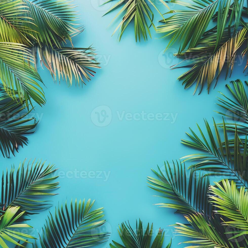 Blue Background With Green Palm Leaves photo