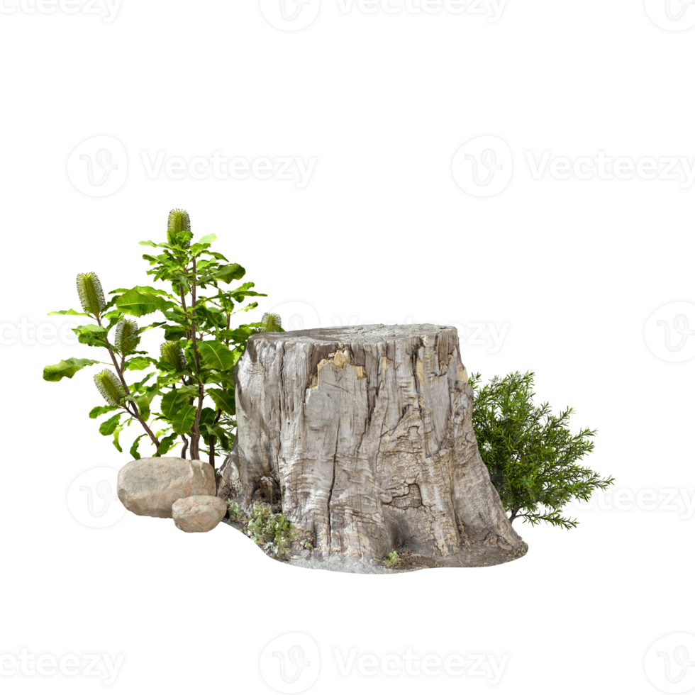 Tree stump cut out backgrounds 3d rendering files png