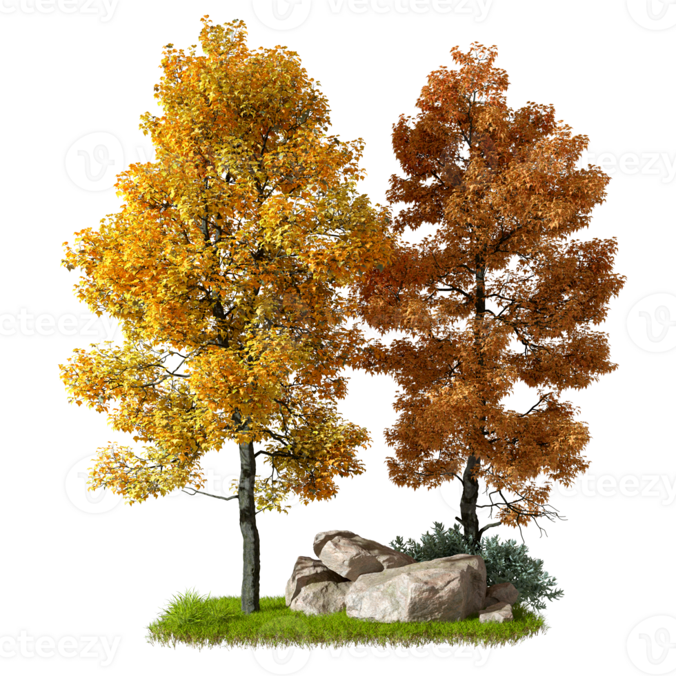 Autumn trees forested isolate on transparent background 3d illustration png