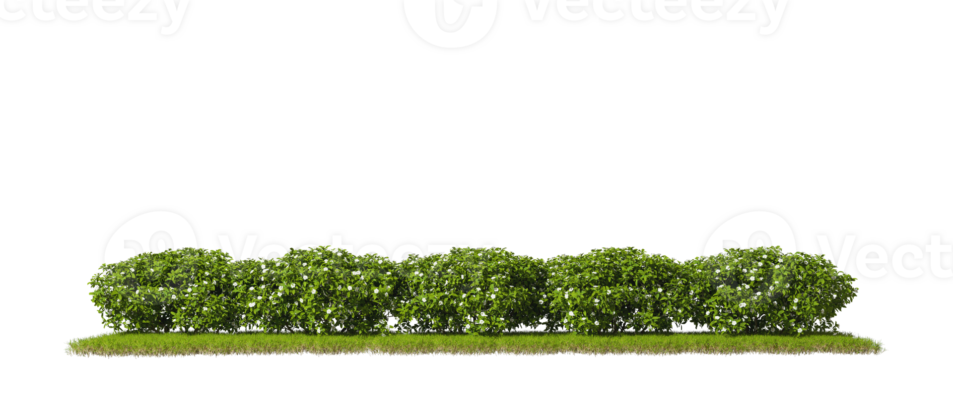 Cutout row shrubs bushes on grass 3d rendering file png