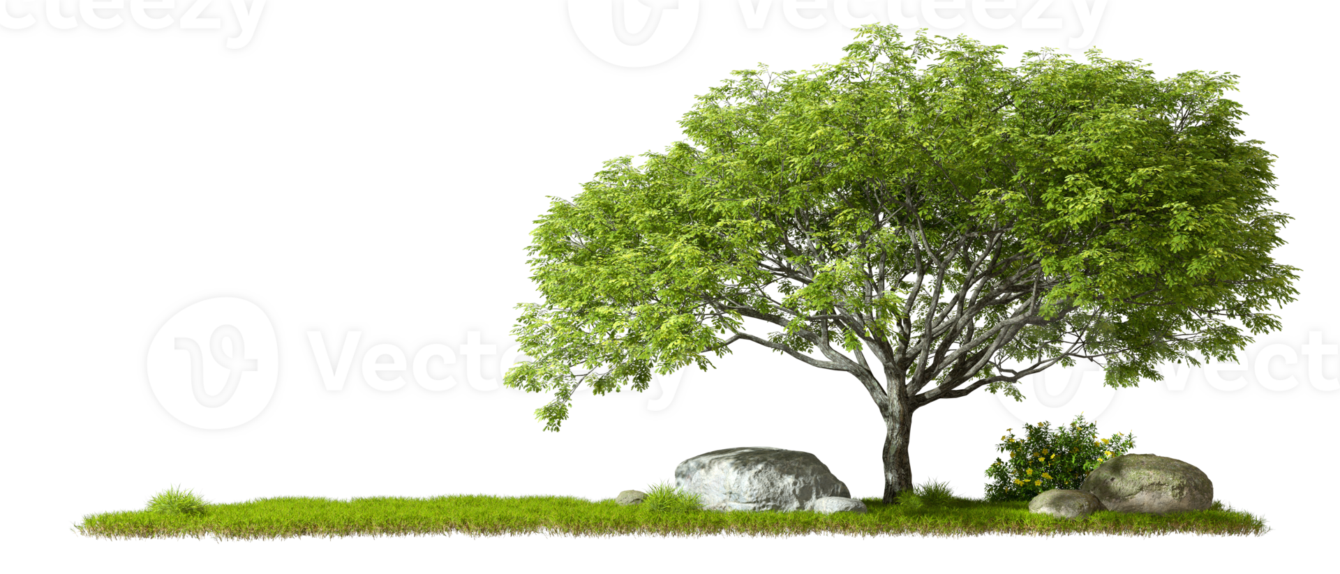 Cut out trees lay out copy space transparent backgrounds 3d render png