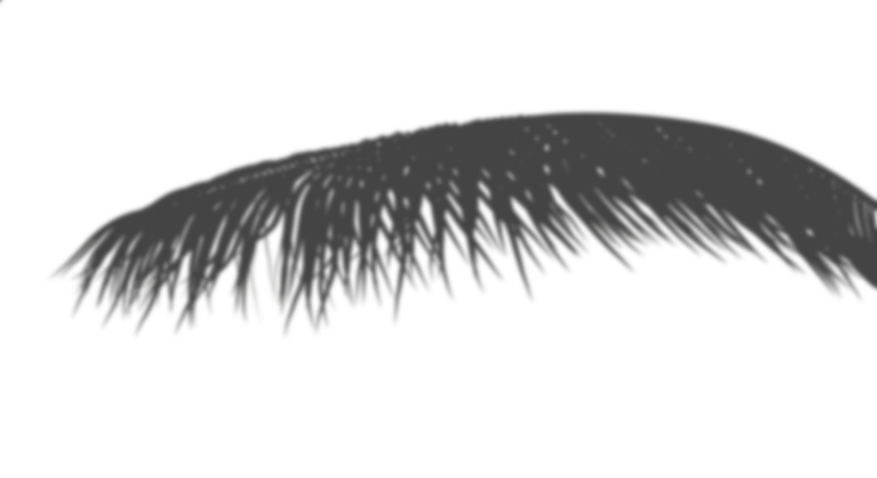 file realistic shadow shade palm leaves cut transparent backgrounds 3d render png