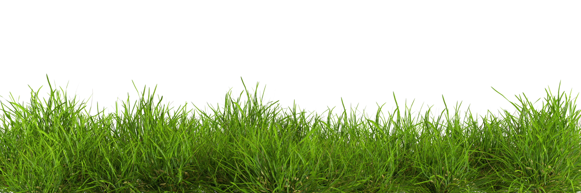 Natural fresh green grass cut out backgrounds 3d rendering png