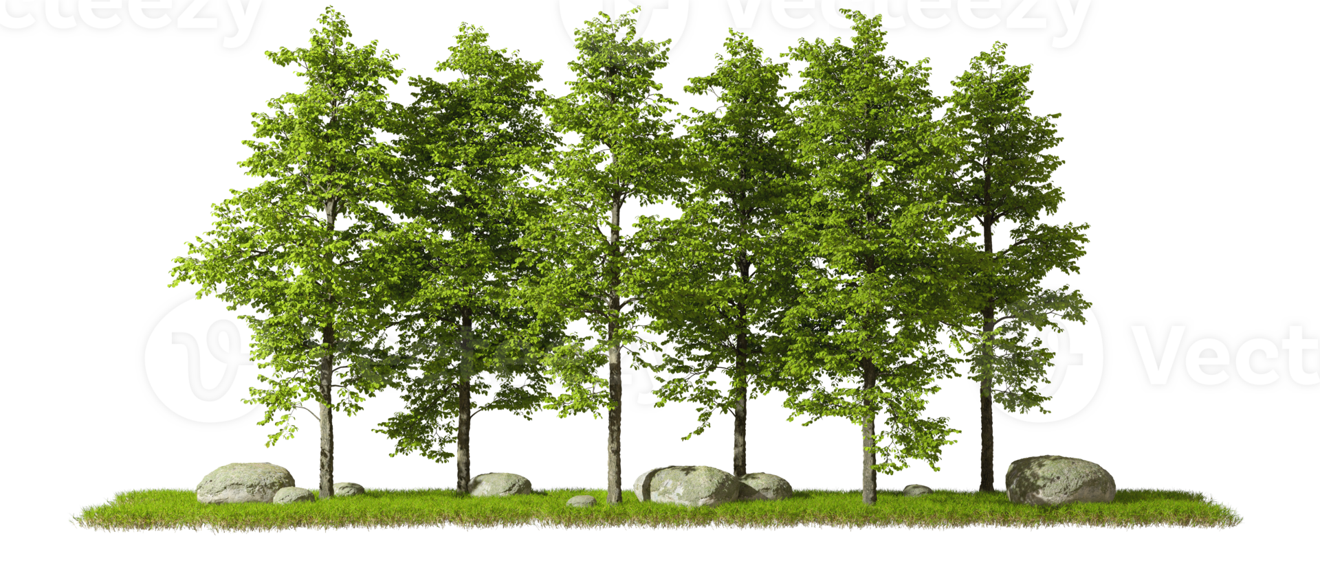 Green rainforest trees row on grass cut-out transparent backgrounds 3d rendering png