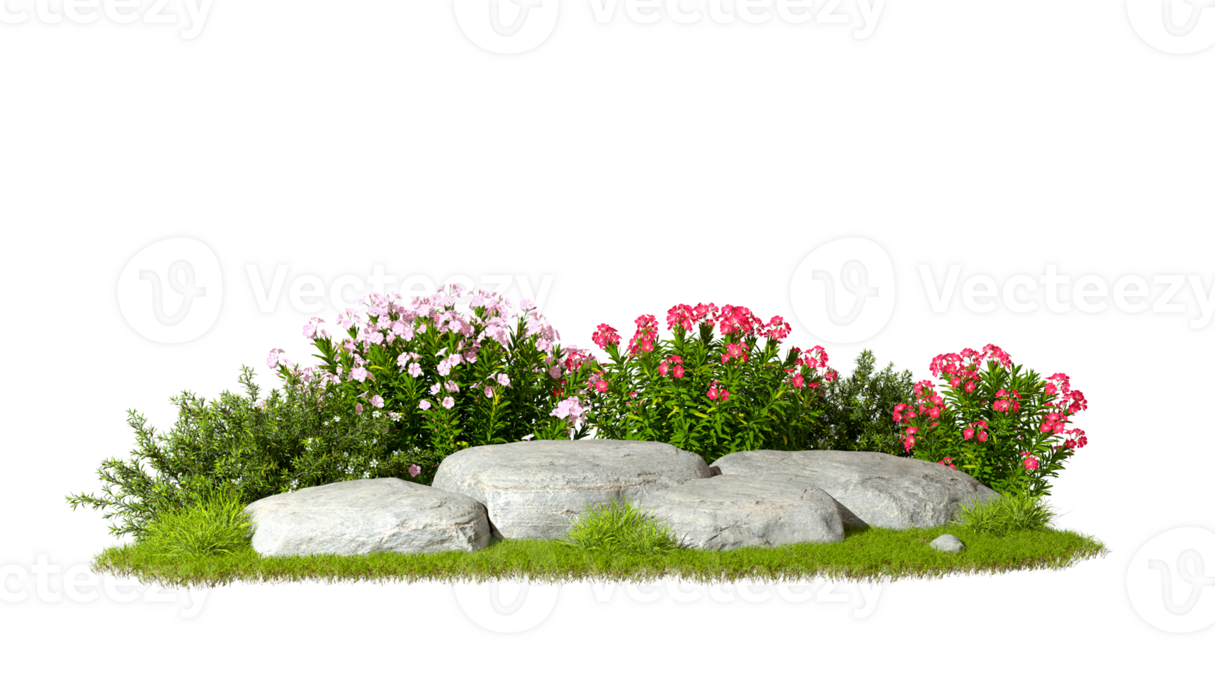 Garden design flower plants and rocks on transparent backgrounds 3d rendering png