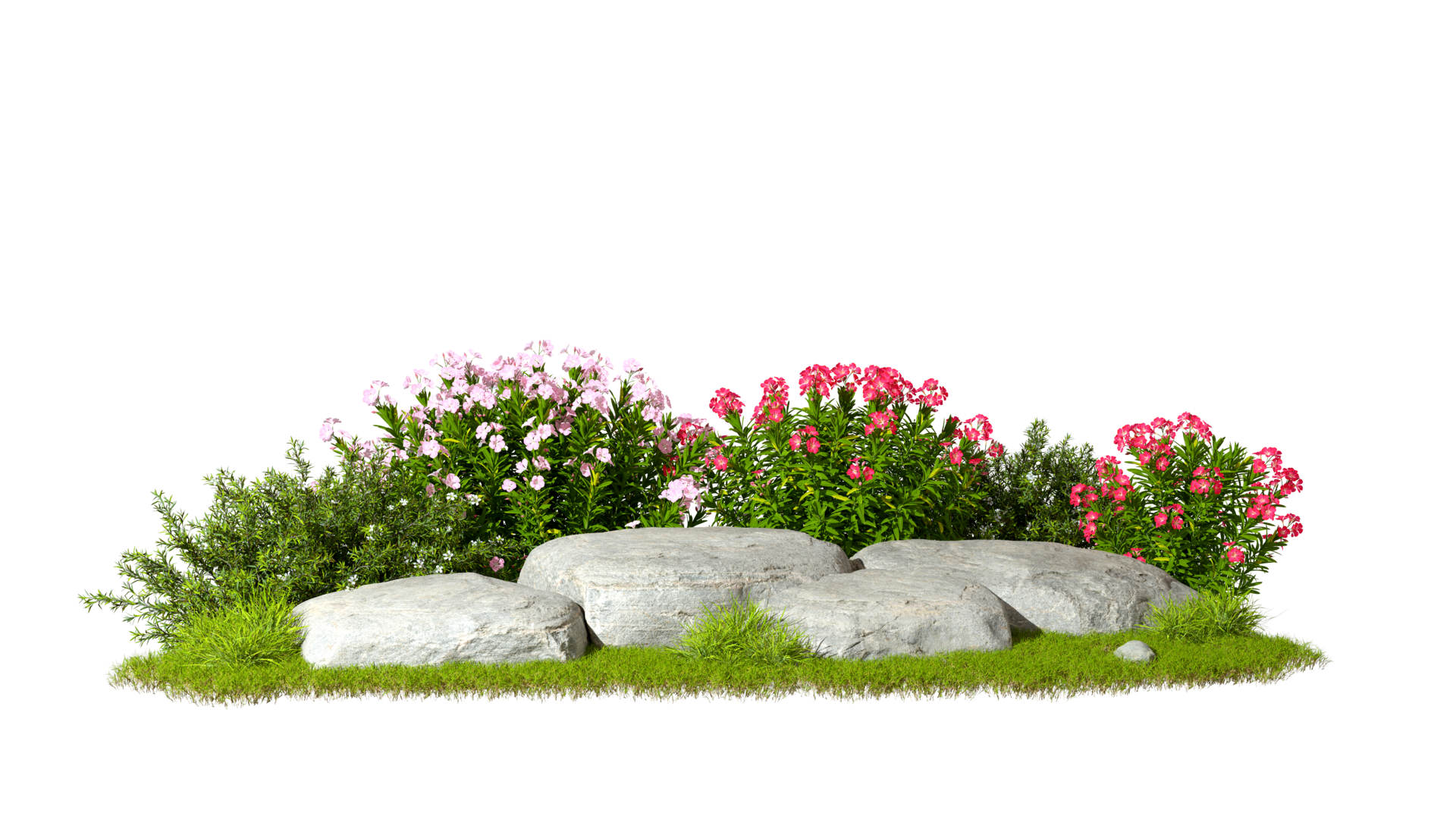 Garden design flower plants and rocks on transparent backgrounds 3d ...