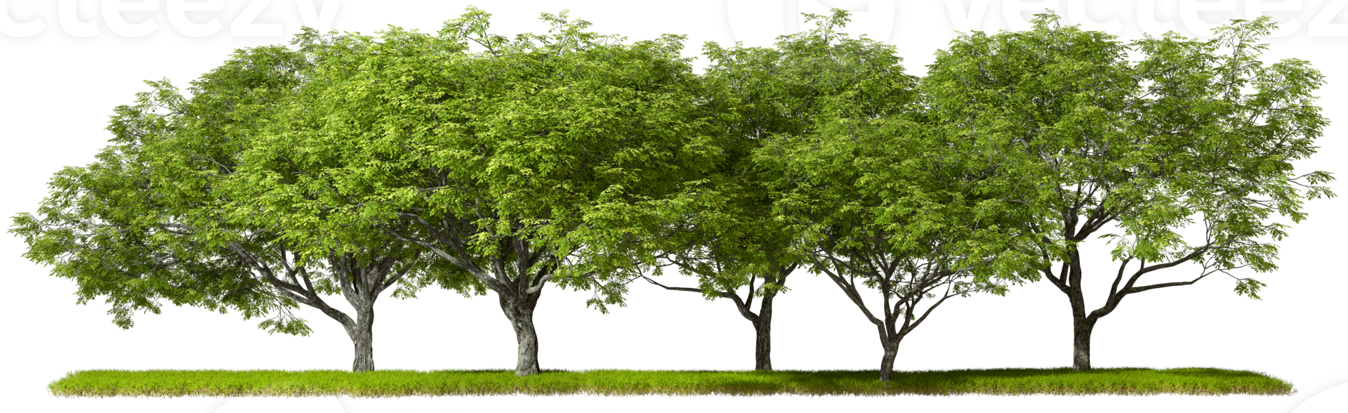 Landscaping jungle green trees row cut out backgrounds 3d rendering file png