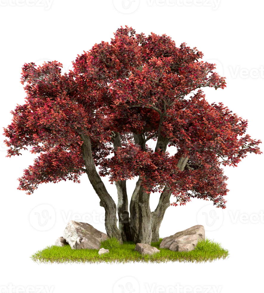 Autumn large tree composition design on green grass cut out transparent backgrounds 3d rendering png