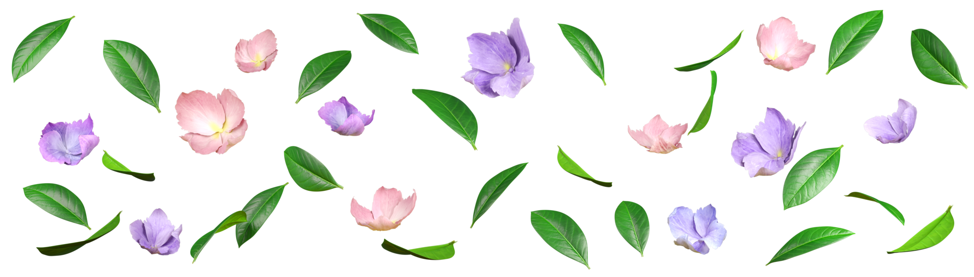Green leaves lush and petal flowery movement falling flow 3d rendering illustration background file png