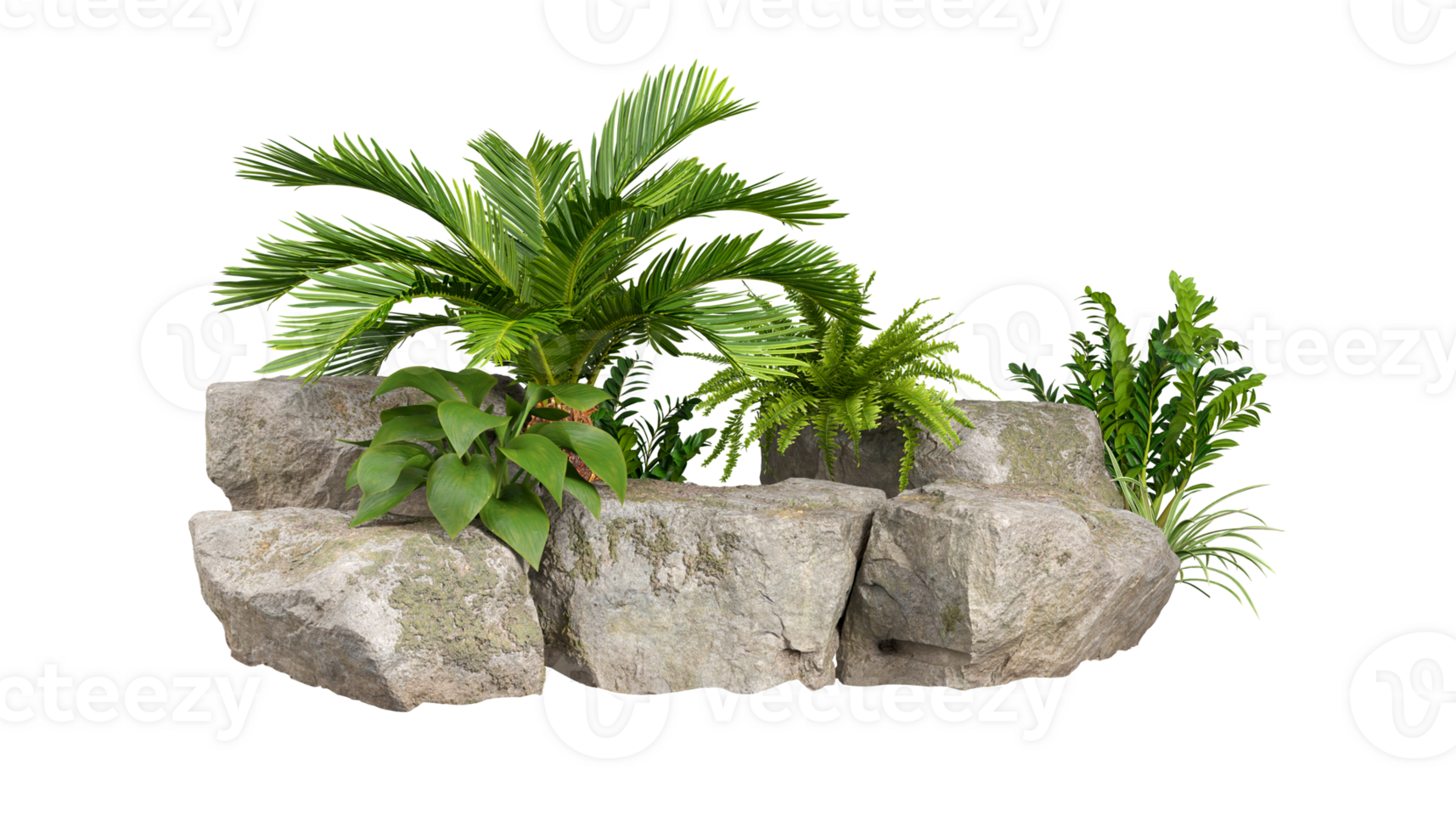 Tropics green plants gardening design with nature rock transparent background 3d rendering file png