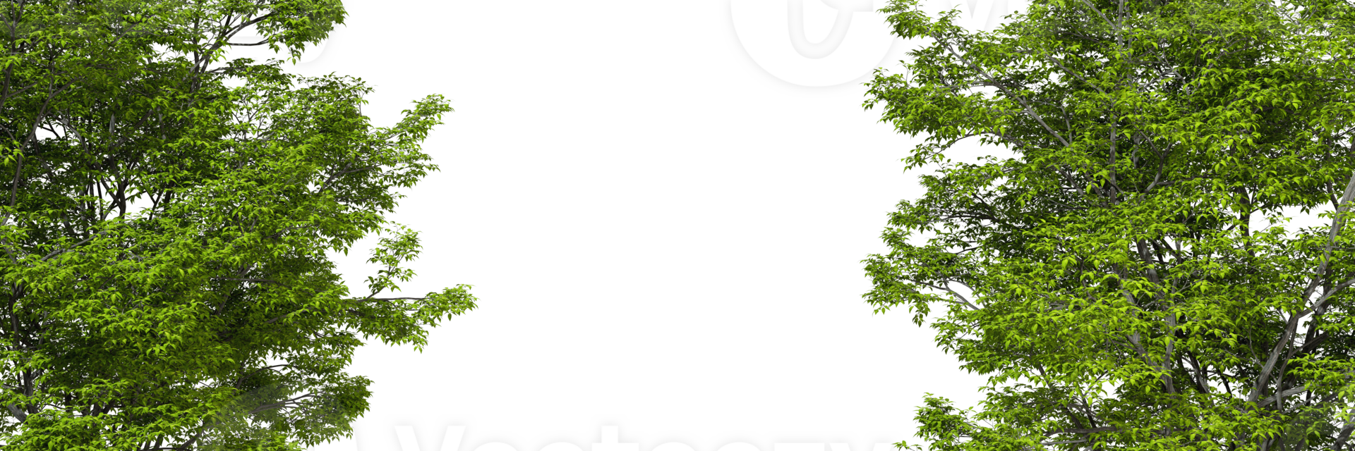 Copy space with nature green trees transparent isolated backgrounds 3d rendering file png