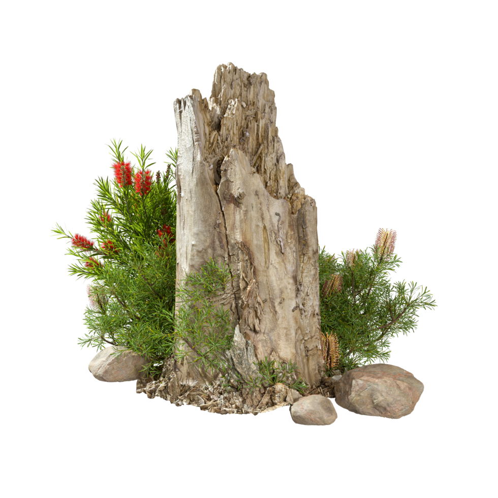 Cut out nature wood stump with flower plants 3d rendering illustration background file png