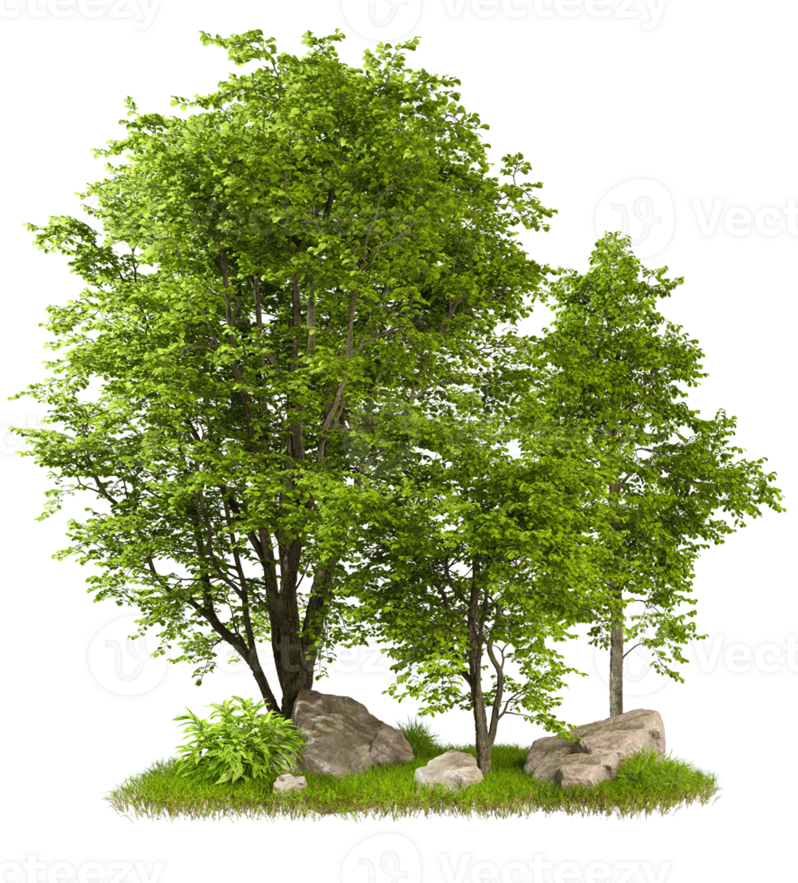 Cut out greenery forest trees design composition 3d rendering file png