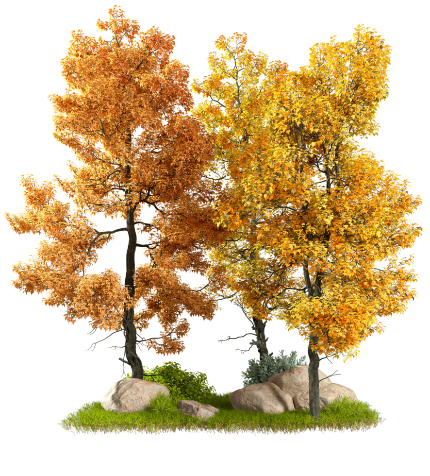 Couper en dehors la nature l'automne sauvage aménagement paysager composition conception 3d le rendu fichier png