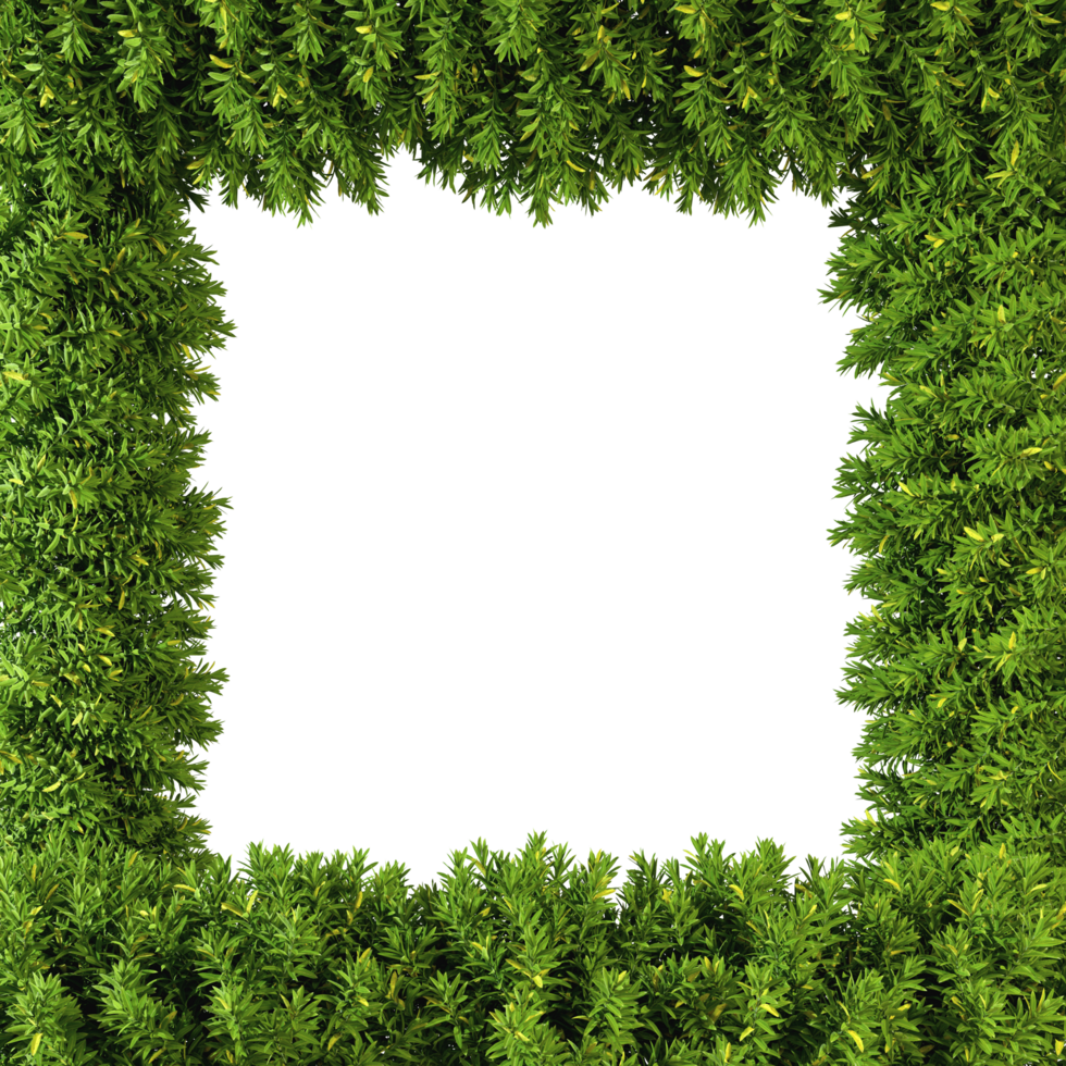 Nature green tree plants rectangle frame 3d rendering file png