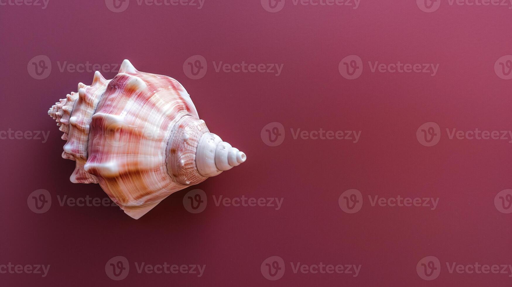 A single seashell, delicately placed against a colored background, captures the essence of the ocean photo