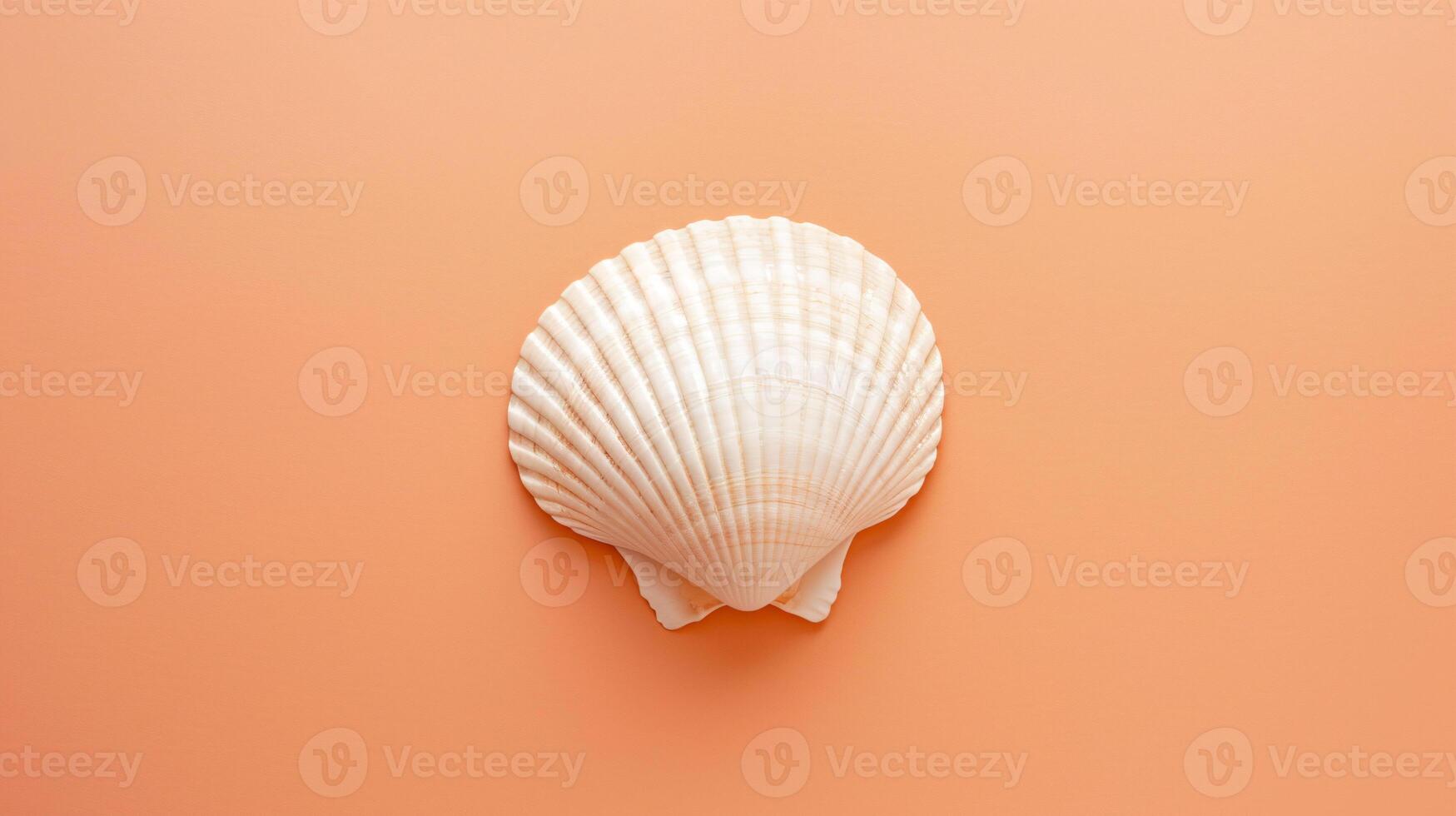 A single seashell, delicately placed against a colored background, captures the essence of the ocean photo