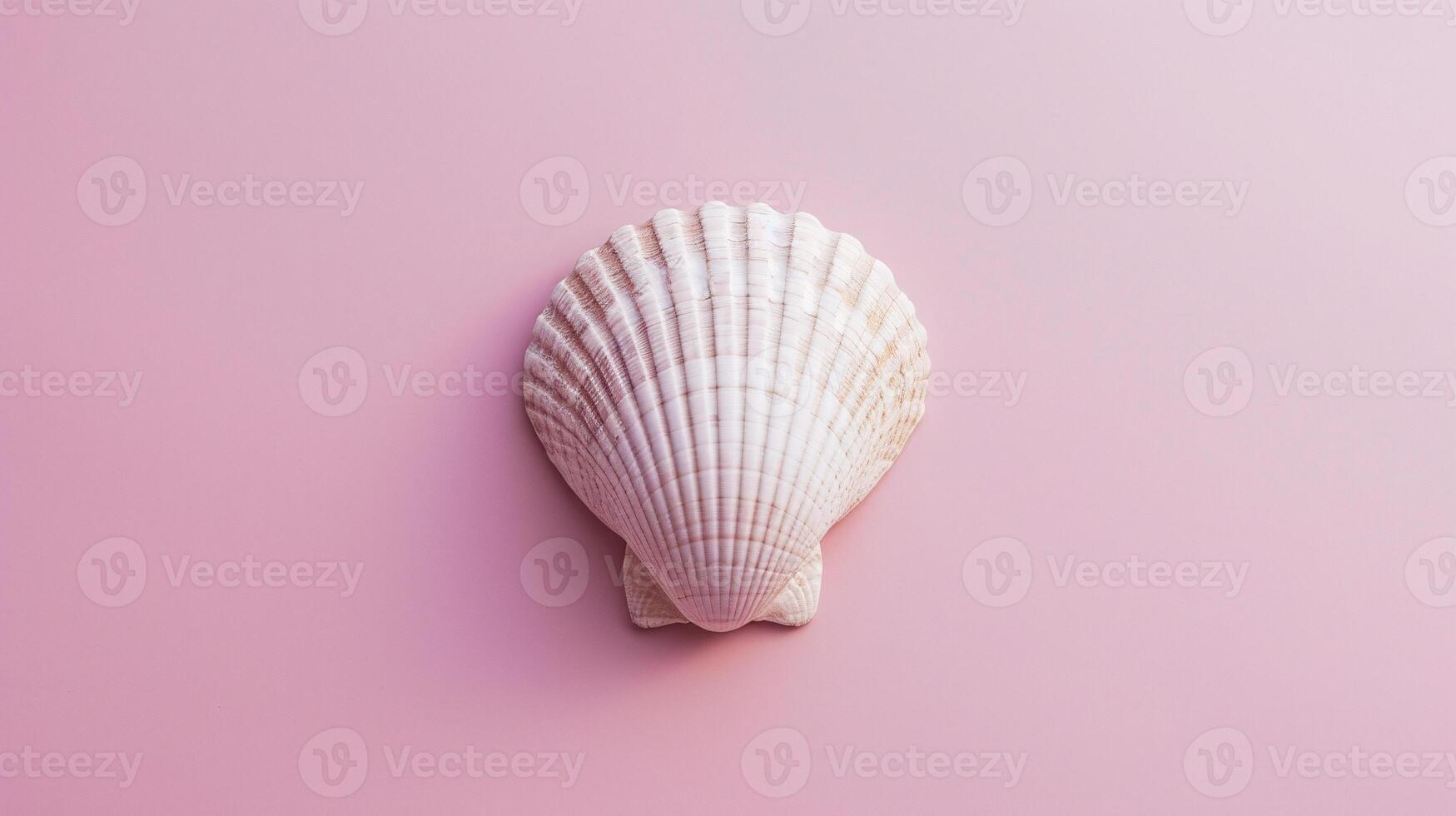 A single seashell, delicately placed against a colored background, captures the essence of the ocean photo