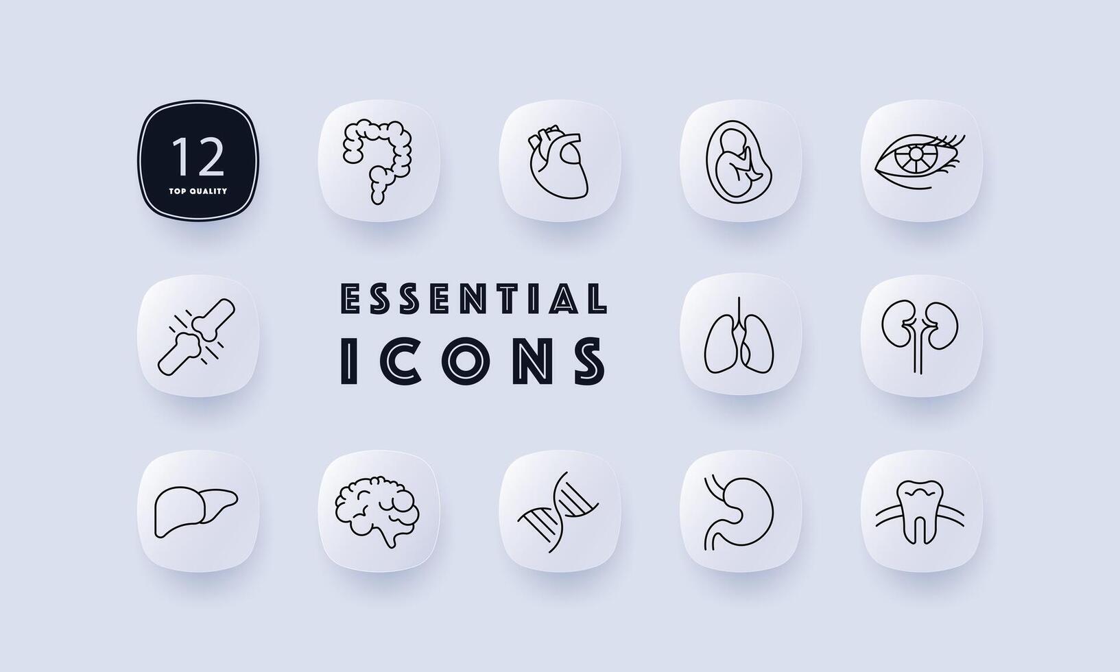 Organs set icon. Intestinal tract, stomach, liver, brain, lungs, embryo, DNA, tooth, eye, heart, eyelids, eyelashes. mesh, gradient. Self care concept. Neomorphism style. vector