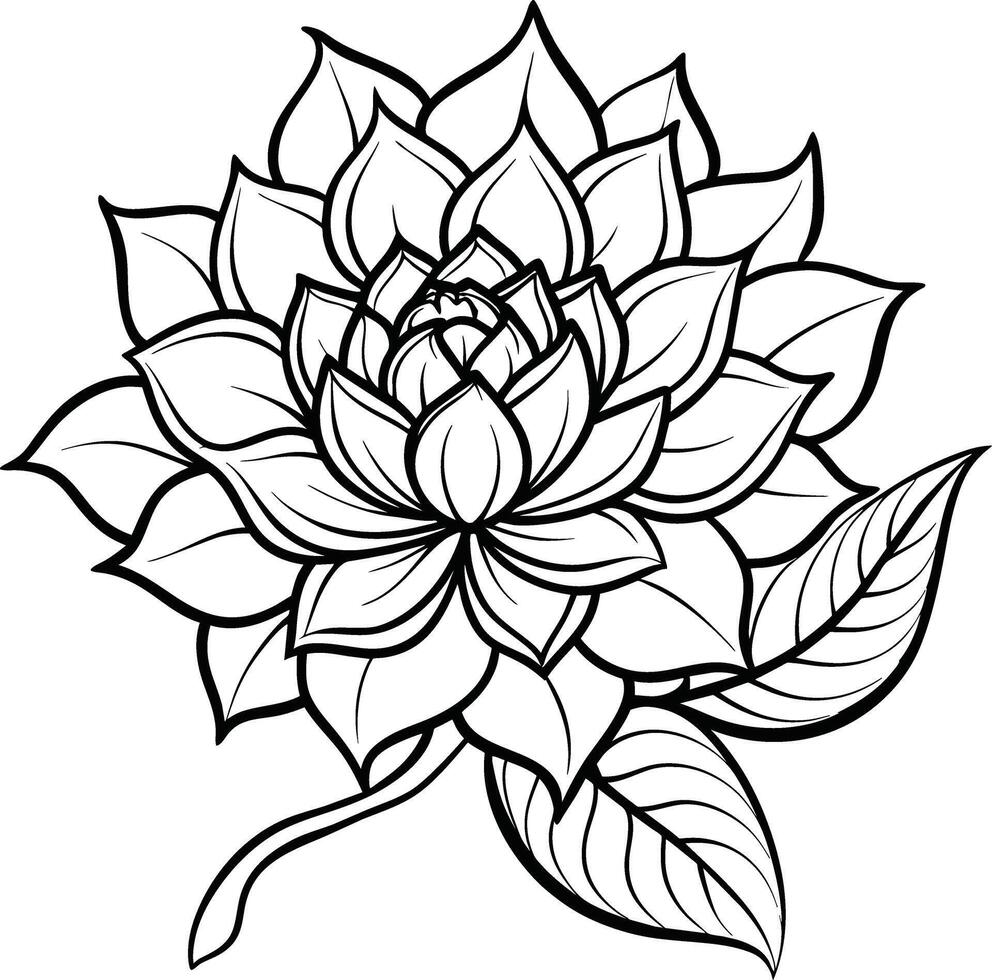 a drawing of a lotus flower with leaves and leaves vector
