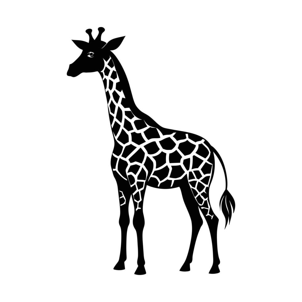 A giraffe with a black and white drawing on white background vector