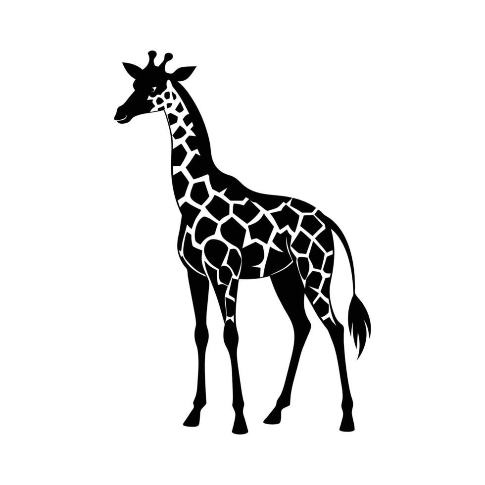 A giraffe with a black and white drawing on white background vector