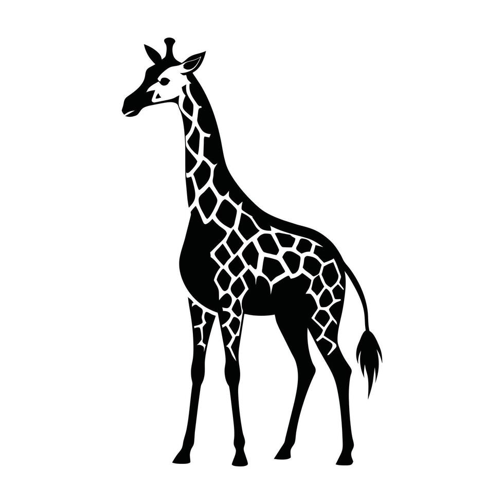 A giraffe with a black and white drawing on white background vector