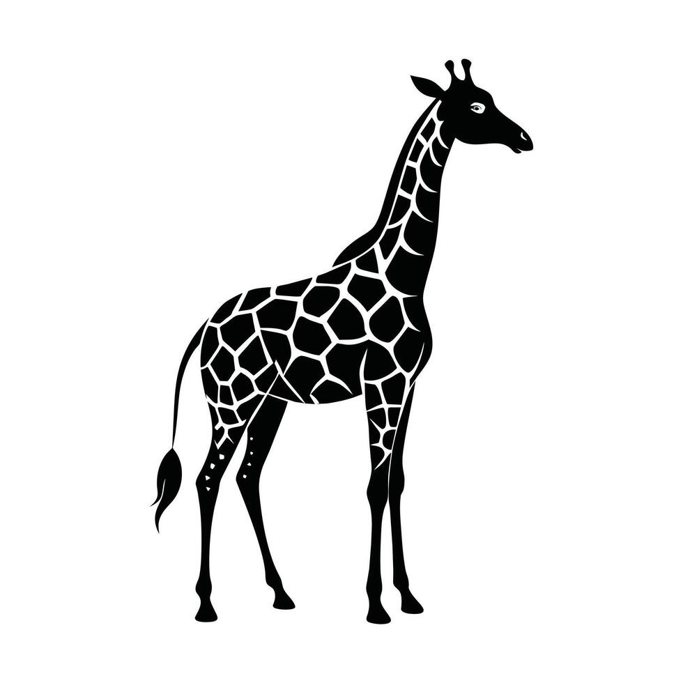 A giraffe with a black and white drawing on white background vector