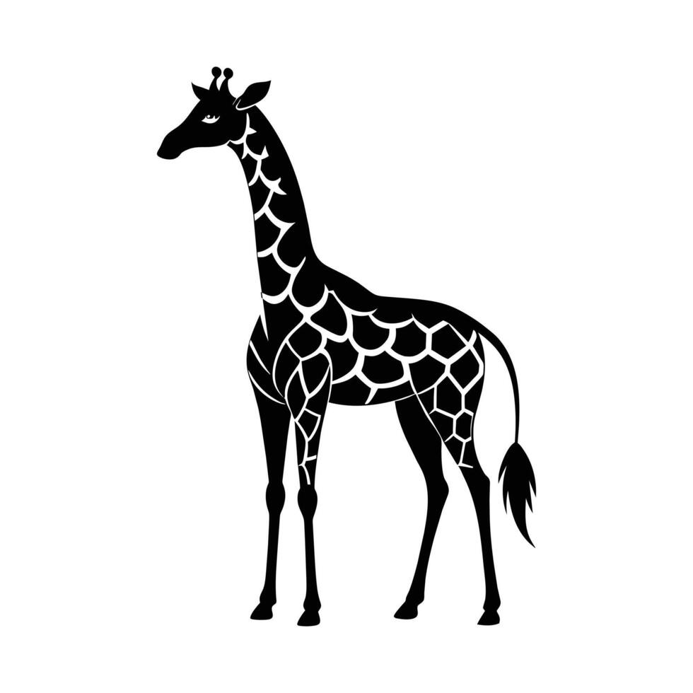 A giraffe with a black and white drawing on white background vector