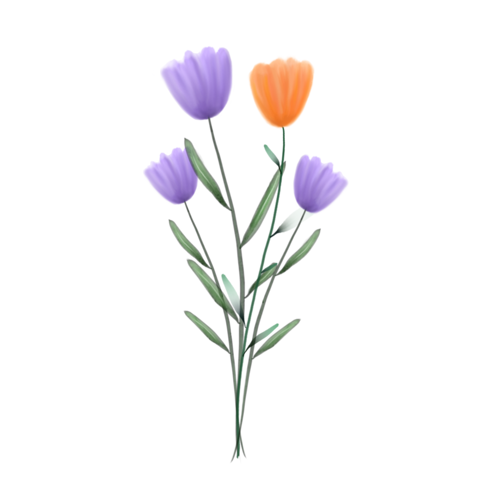 Purple And Orange Flowers png