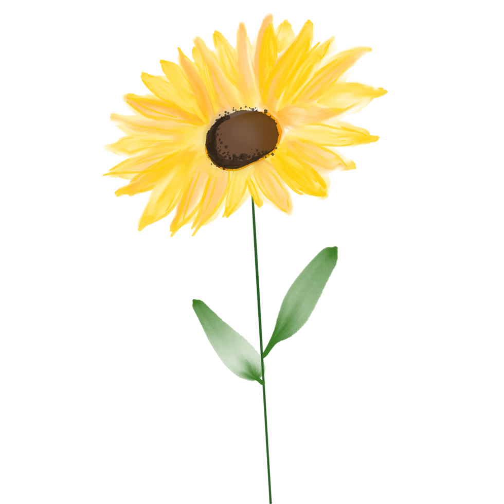 gemakkelijk waterverf geel zonnebloem png