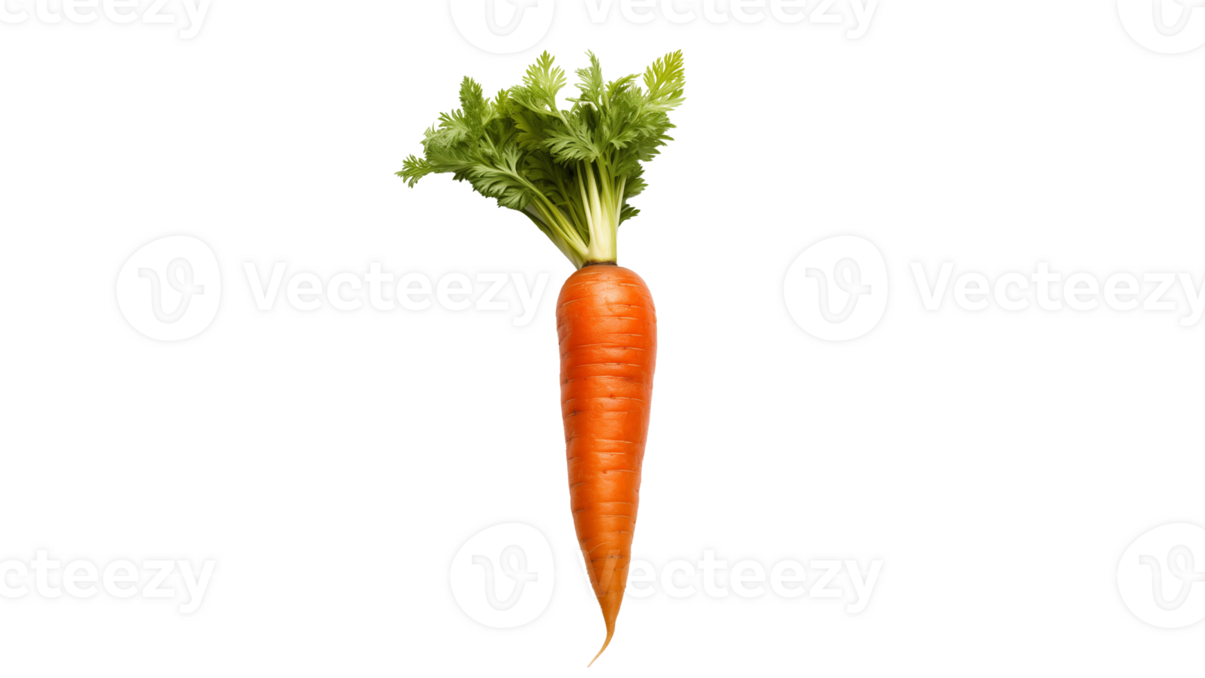 Isolated carrot vegetable cut out. Orange carrot on transparent background png
