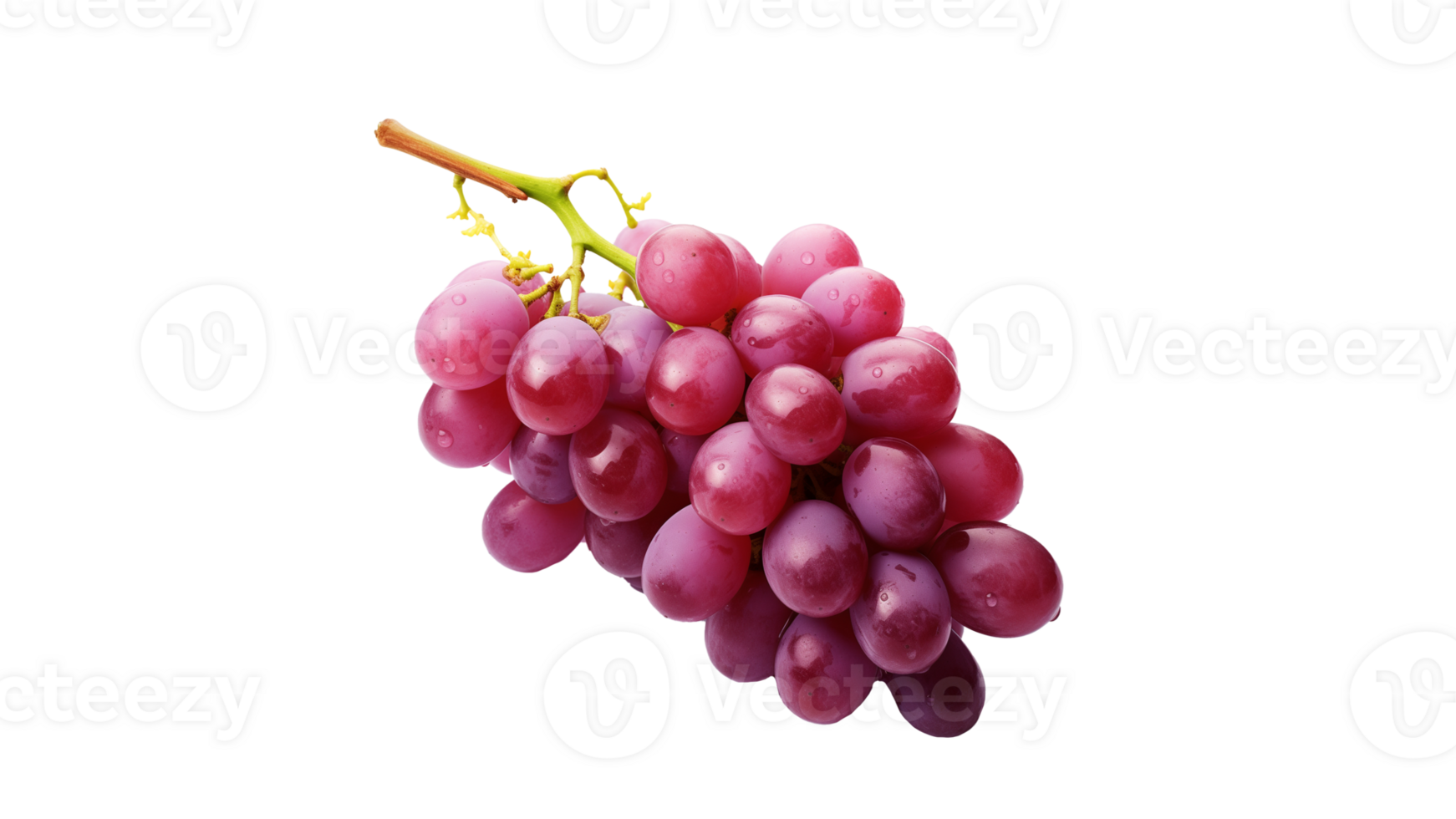Grape fruit cut out. Isolated grape fruit on transparent background png