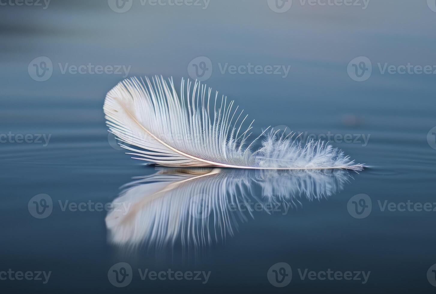 A single white feather floating on the surface of calm blue water. photo