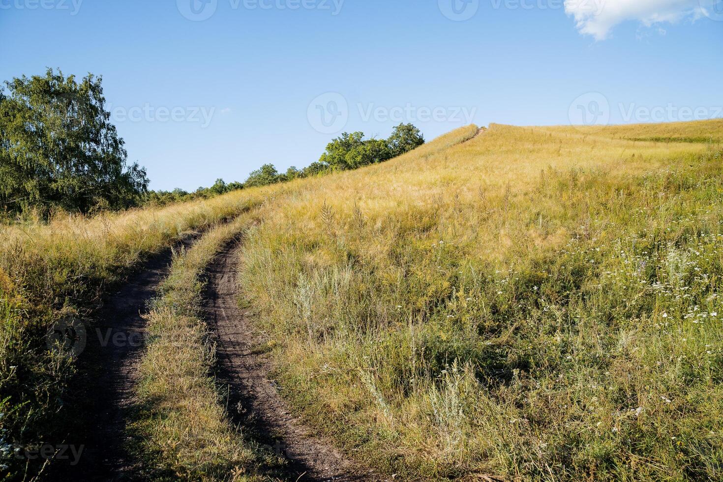 Dirt road steeply rises up the field, mountainous terrain, evening landscape, smooth turn of the road, horizon line, at the top of the mountain, Russian field photo