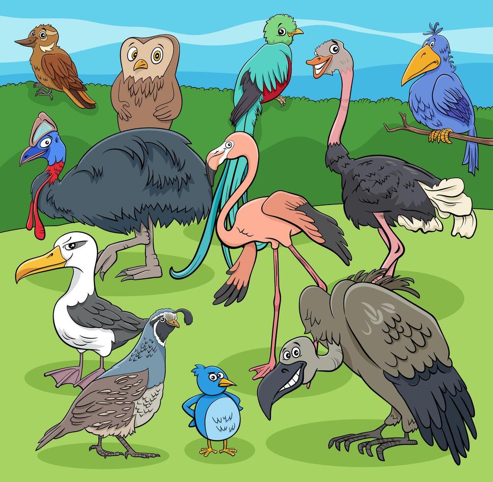 birds animal characters group cartoon illustration vector