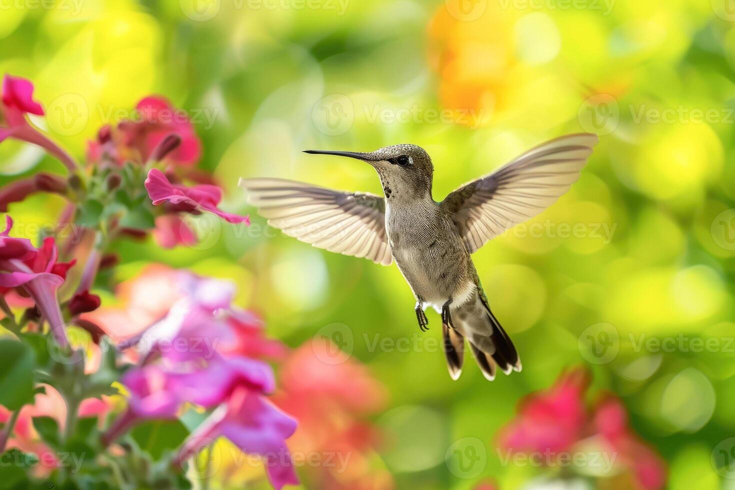 A hummingbird hovers near a colorful flower against a vibrant blurred background. Captures the beauty and grace of nature's delicate creatures photo