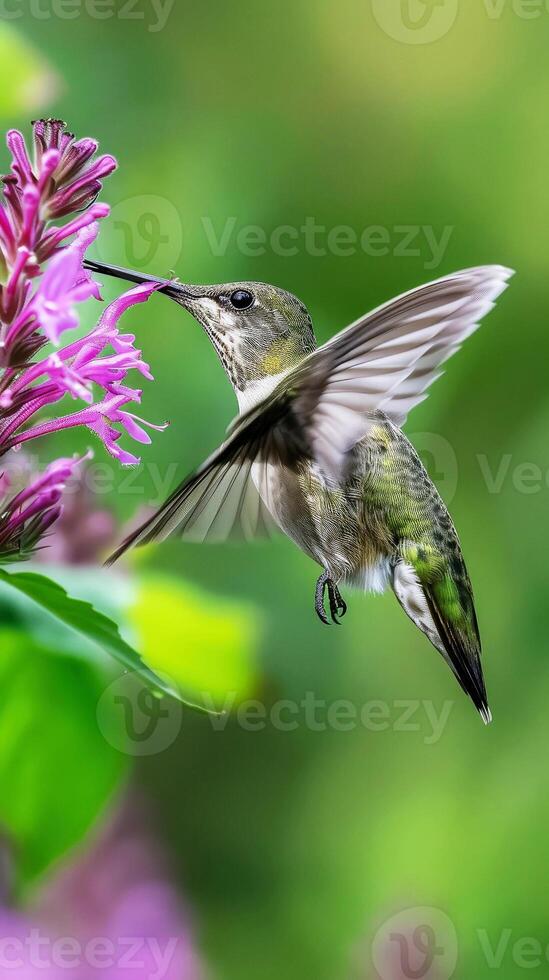 Mesmerizing image of hovering hummingbird amidst riot of colors, drawn to vibrant flower, symbolizing the harmony, vitality of the natural world, intelligence, beauty, devotion, and love photo